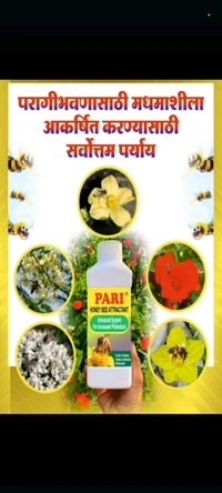 PARI 500 ML