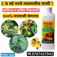 PARI 500 ML