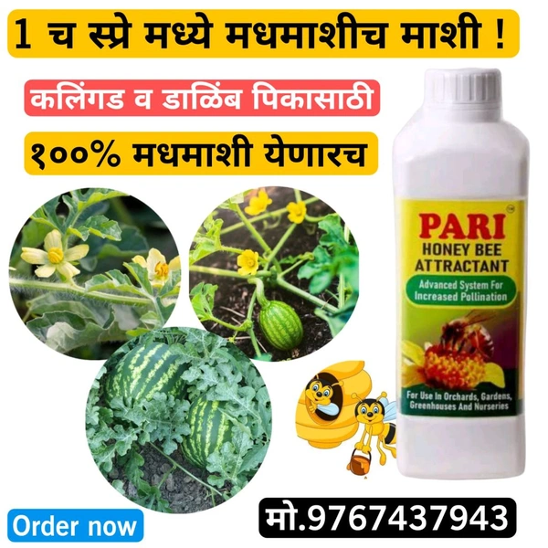PARI 500 ML