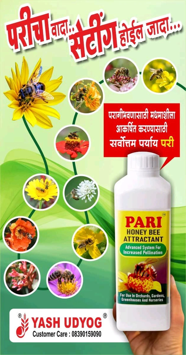 PARI 500 ML