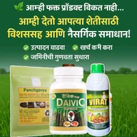 दैविक कॅप्सुल Combo Pack 