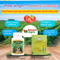 दैविक कॅप्सुल Combo Pack 