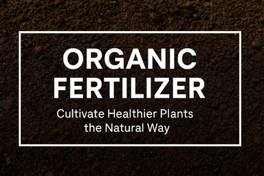 Organic Fertilizer