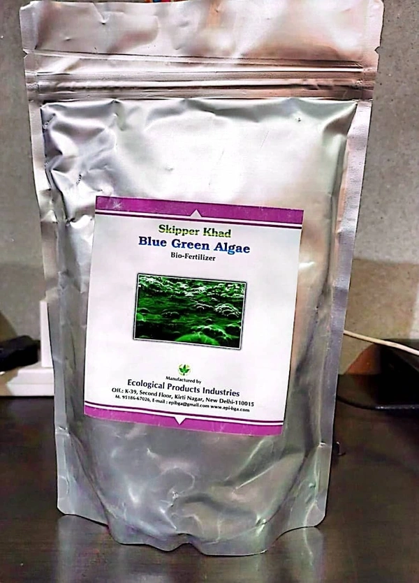BLUE GREEN ALGAE