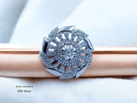 Silver Ladies Fancy Ring - 4.17, 12