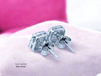 Silver Fancy Studs - 2.68