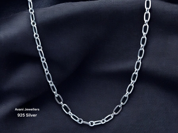 Silver Gents Chain - 8.39, 24