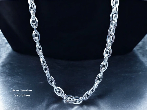 Silver Gents Chain - 27.53, 20