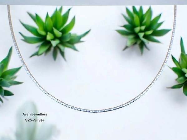 Silver Gents Chain - 22, 10.47