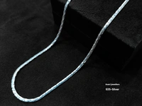 Silver Gents Chain - 20, 10.23