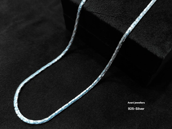 Silver Gents Chain - 20, 10.23