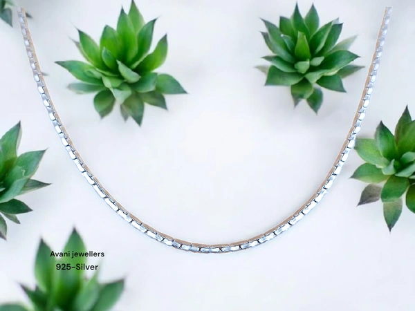 Silver Gents Chain - 20, 10.06