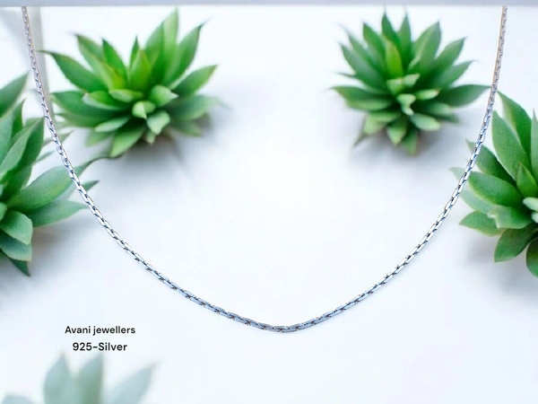 Silver Gents Chain - 20, 6.63