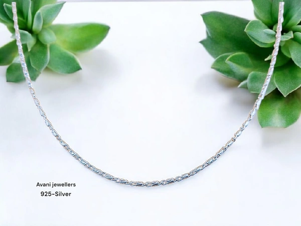 Silver Gents Chain - 20, 7.77
