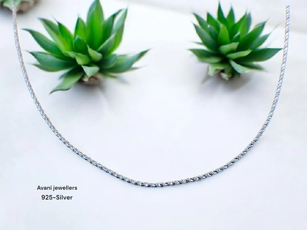 Silver Gents Chain - 20, 5.58