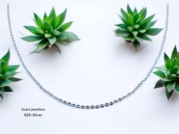 Silver Gents Chain - 22, 7.01