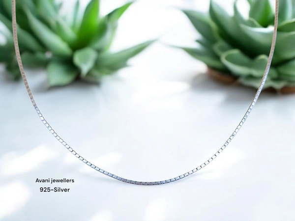 Silver Gents Chain - 20, 5.31