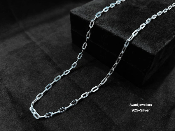 Silver Gents Chain - 22, 6.81