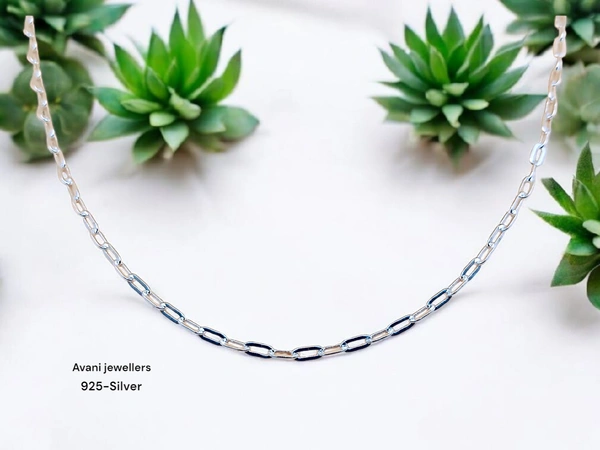 Silver Gents Chain - 22, 6.72