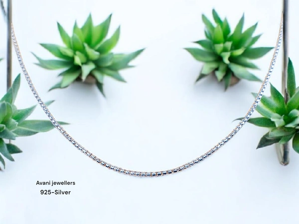 Silver Gents Chain - 20, 5.53