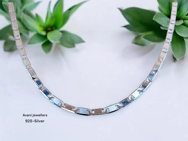 Silver Gents Chain - 20, 10.92