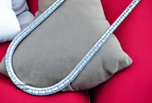 Silver Gents Chain - 20, 10.63