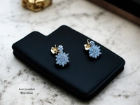 Silver Upper Ear Tops - 2.18