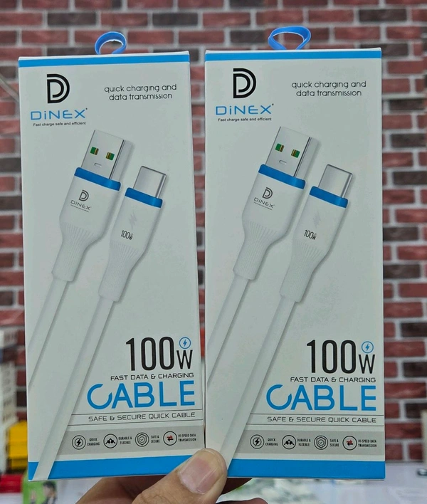 Dinex 100W Type-C Cable Lifetime Warranty 