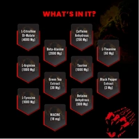 BIG MUSCLE NUTRITION KARNAGE - THE END OF PRE WORKOUT  - 300 GM (60 SERVINGS), SEX ON THE BEACH