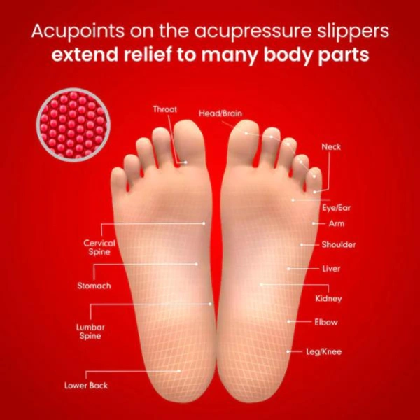 Dr. Ortho Acupressure Slippers - UK 7 (265mm)