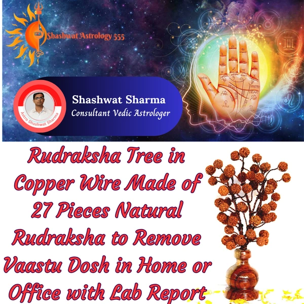 Rudraksha Tree 27 Pcs 