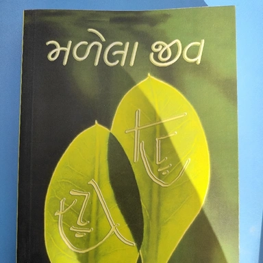 સાહિત્ય નોવેલ આત્મકથા