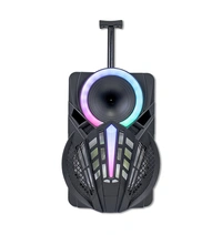 SSBRIGHT  TS-12A Volcano Series Speaker with Mic - Black