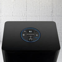 SOROO DJ Tower Speaker - Black