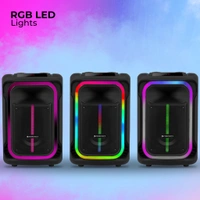ZEBRONICS Zeb Buddy 300 - Black