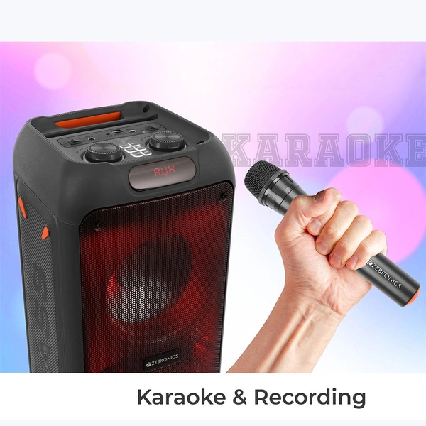 ZEBRONICS Zeb Vibe - Black
