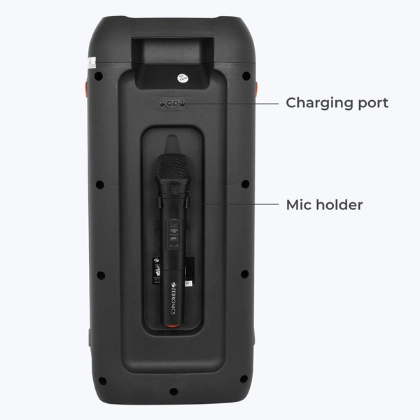 ZEBRONICS Zeb Vibe - Black