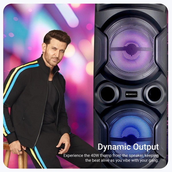 ZEBRONICS  Zeb Thump 222 - Black