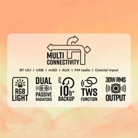 ZEBRONICS Zeb Ace Plus - Black