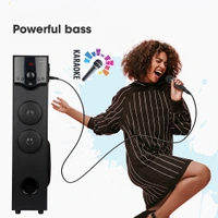 ZEBRONICS  Zeb BT 460 RUF (Wired Mic) - Black