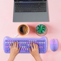 ZEBRONICS Zeb Companion 303  - purple