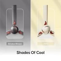 Longway Creta P1 1200 Mm/48 Inch Ultra High Speed 3 Blade Anti-Dust Decorative Star Rated Ceiling Fan (Pack Of 1) 