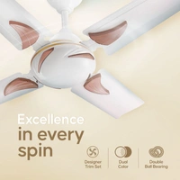 Longway Creta P1 600 Mm/24 Inch Ultra High Speed 4 Blade Anti-Dust Decorative Star Rated Ceiling Fan (Pack Of 1)