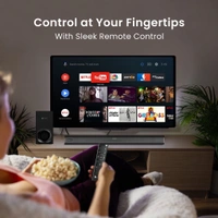 Protronics Pure Sound 105