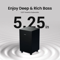 Protronics Pure Sound Pro X1