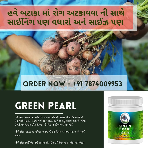 Green pearl - 250gram