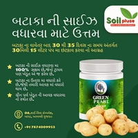 Green pearl - 250gram
