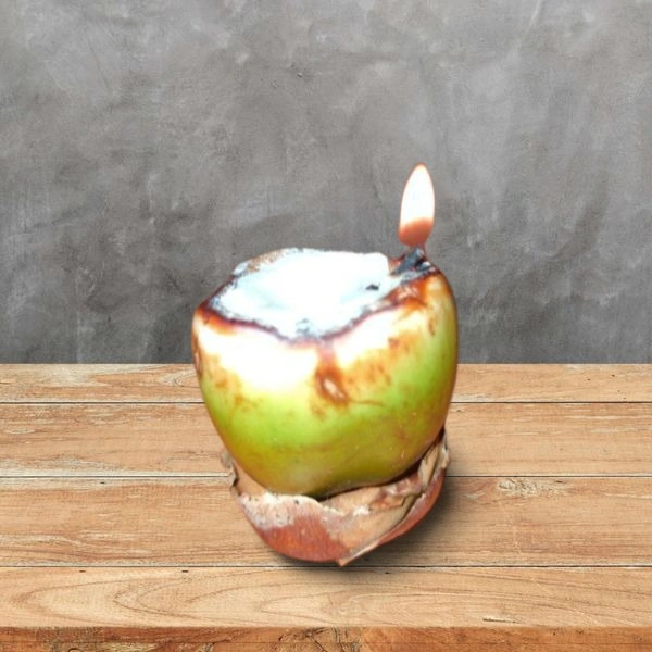 Coconut lamp