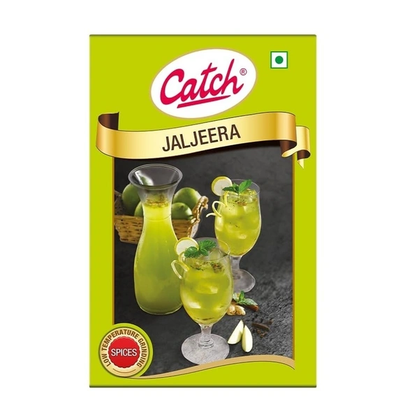 Catch Jaljeera Powder 100g