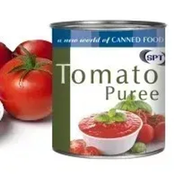 SPT Tomato Puree 825g